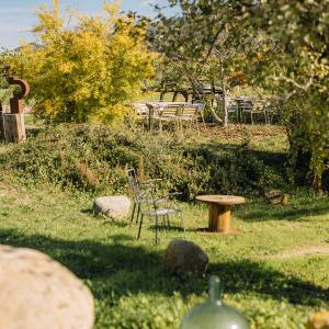 Wine bar: terrassetes amb encant entre vinyes