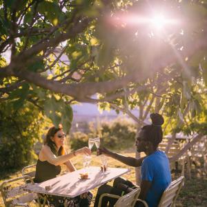 Wine bar: terrassetes amb encant entre vinyes