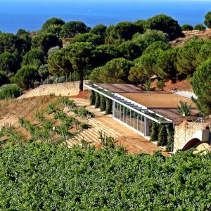 Les rutes del vi de Barcelona