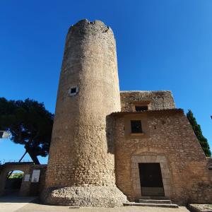 JORNADA DE PORTES OBERTES AL CASTELL DE RIBES