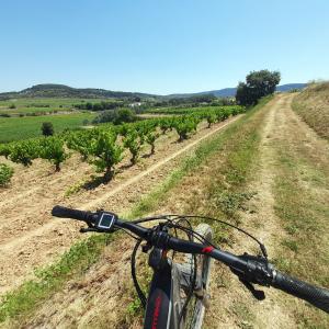 Lloguer de bicicletes