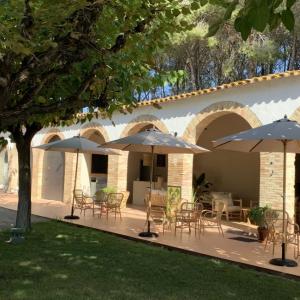 Winebar winegarden oriol rossell penedès