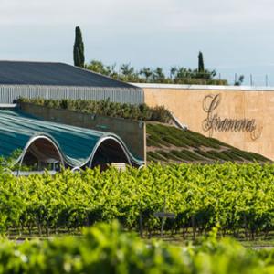 Corpinnat, els grans vins espumosos