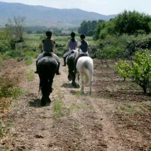 VISITA COMPLETA AL CELLER I RUTA A CAVALL PEL PENEDÈS