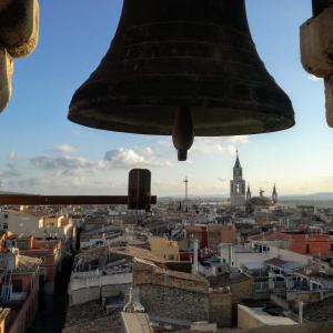Vista des del  campanar de la Trinitat