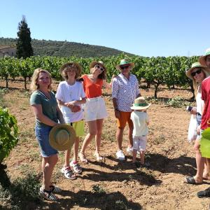 Land Rover – Wine Tours