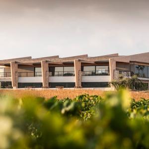 Tasta el most en fermentació i esmorzar a l’aire lliure