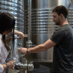 Tasta el most en fermentació i esmorzar a l’aire lliure
