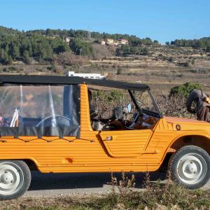 Safari Gastronòmic a les vinyes d'Albet i Noya i vermut musical de verema