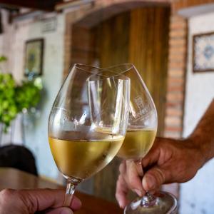 Passeig amb bicicleta entre vinyes i amb tast de caves i vins ecològics