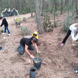 Picnic de pagès entre vinyes+ Taller de Verema Regenerativa