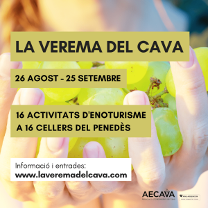 Esmorzar entre vinyes + Taller de Verema ECO