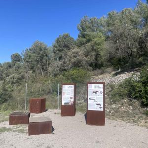 Visita guiada al Jaciment paleontològic Els Casots