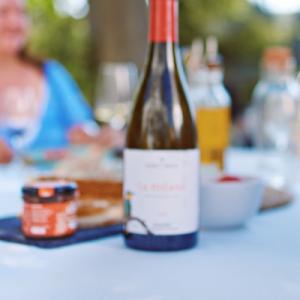 Joc de tast de vins amb Vi&Companyia
