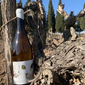 Maridatge amb formatges + Joc “Tast amagat entre vinyes”