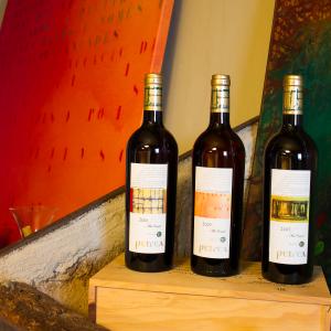 NADAL A MAS COMTAL   Jornada de Portes Obertes