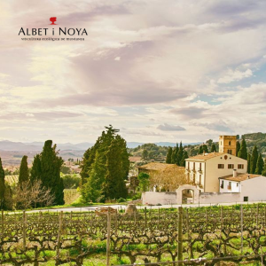 VISITA CELLER ALBET I NOYA + MENÚ PICA-PICA MIRADOR DE LES CAVES