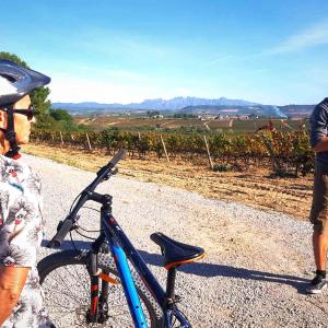 Passeig amb bicicleta entre vinyes i amb tast de caves i vins ecològics