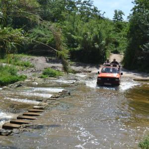 Ruta en 4x4 per les vinyes