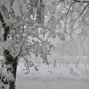 Jardí nevat de masia spa can pascol