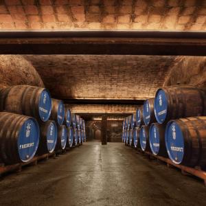 Freixenet barrel's room