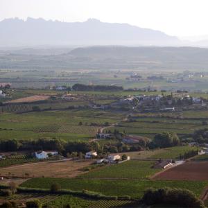 Montserrat, Penedès i Suriol