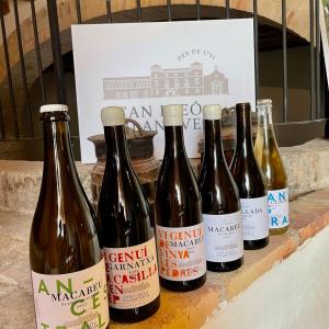 Variedades de nuestros productos