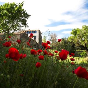 can_rafols_dels_caus-5144.jpg