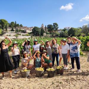 Verema al Penedès Garraf