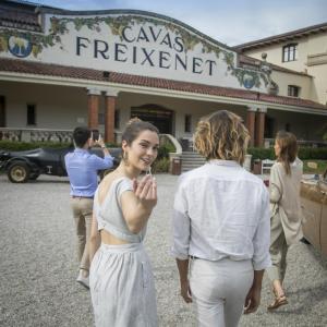 Welcome to Freixenet