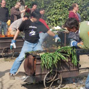 Calçots