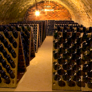 Cava Històrica de Gramona