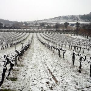 Cava Guilera  I  cava de guarda superior  I  turismo cultural sostenible  I  Penedès - Barcelona