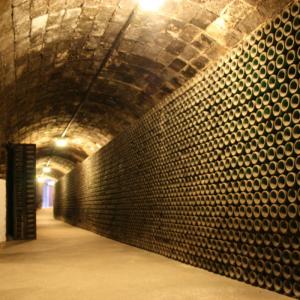 Cava Primitiva Rovellats