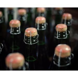 Cava Guilera  I  Cava de Guarda Superior  I  Turisme Cultural Sostenible  I  Penedès - Barcelona