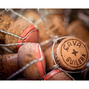 Cava Guilera: petit celler familiar entre vinyes del Penedès, fundat el 1927.