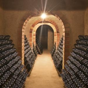 Conde de Valicourt cellar interior