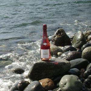 Cava Rosat Suriol Gran Canaria