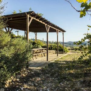 Esmorzar o dinar entre vinyes
