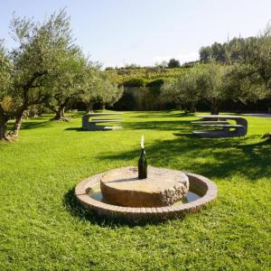 Molts tasts es porten a terme al nostre jardí de les oliveres 