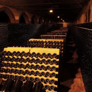 Oriol Rossell bodega rimas cava