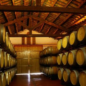 Sala de barriques de Parés Baltà