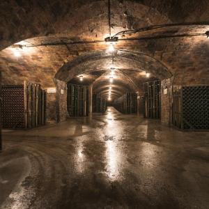 Rovellats wine cellar