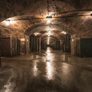 Rovellats wine cellar