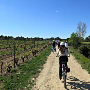 Bikemotions - Ruta guiada amb bicicleta + Tast de vins en un celler