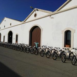 Bikemotions - Cava Tour & winery visit