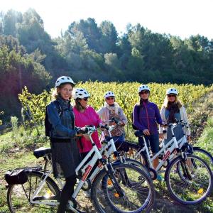 Bikemotions - Penedes - wine tourism