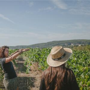 Terroir Tour a Parés Baltà