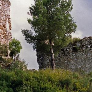 Runes del Castell de Subirats