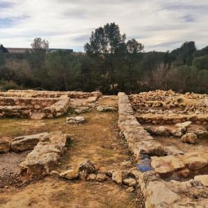 Restes de murs perimetrals al Jaciment de la Font de la Canya